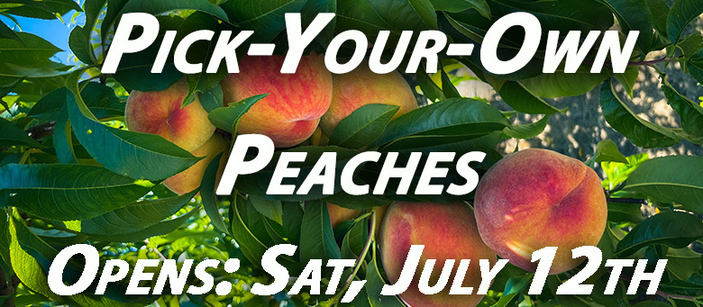 Best Pick Your Own
