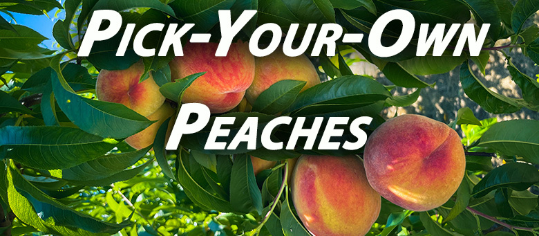 Best Pick Your Own