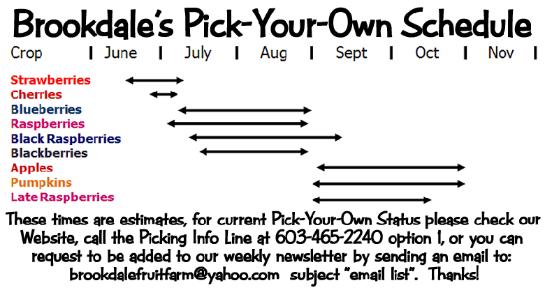 Pick-Your-Own Calendar