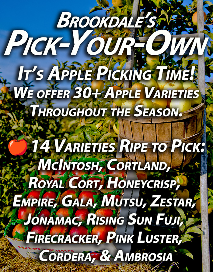 Best Pick Your Own