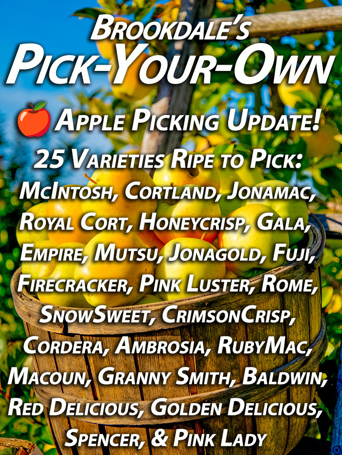 Best Pick Your Own